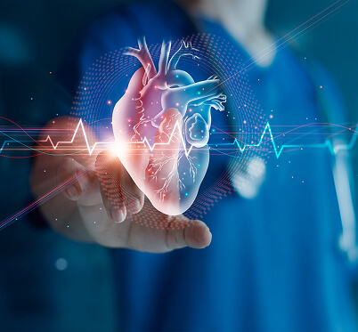 Cardiovascular research